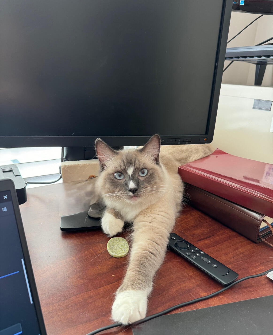 I’ve scraped better prose out of the litter box.