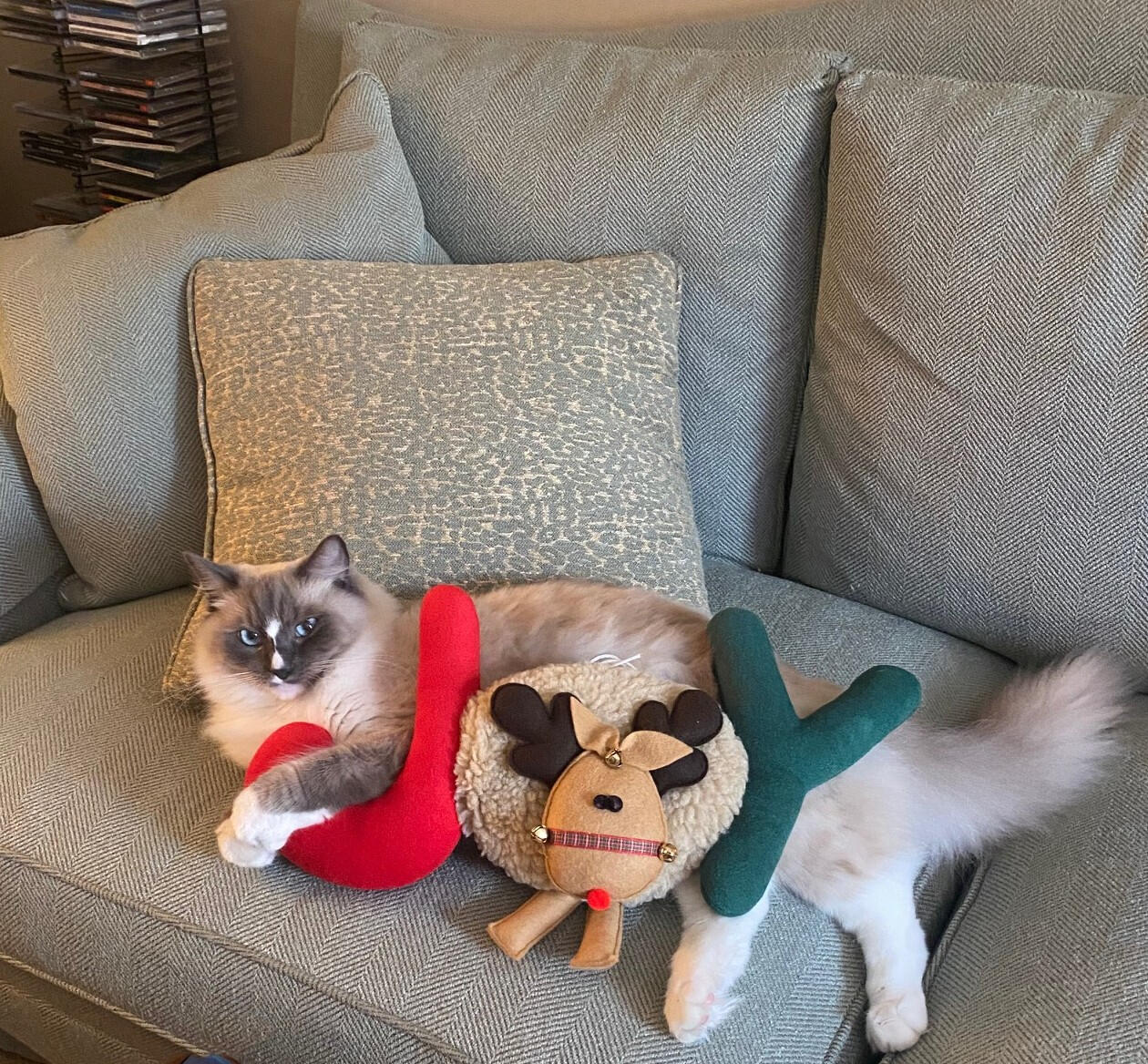 What he really brings to my life