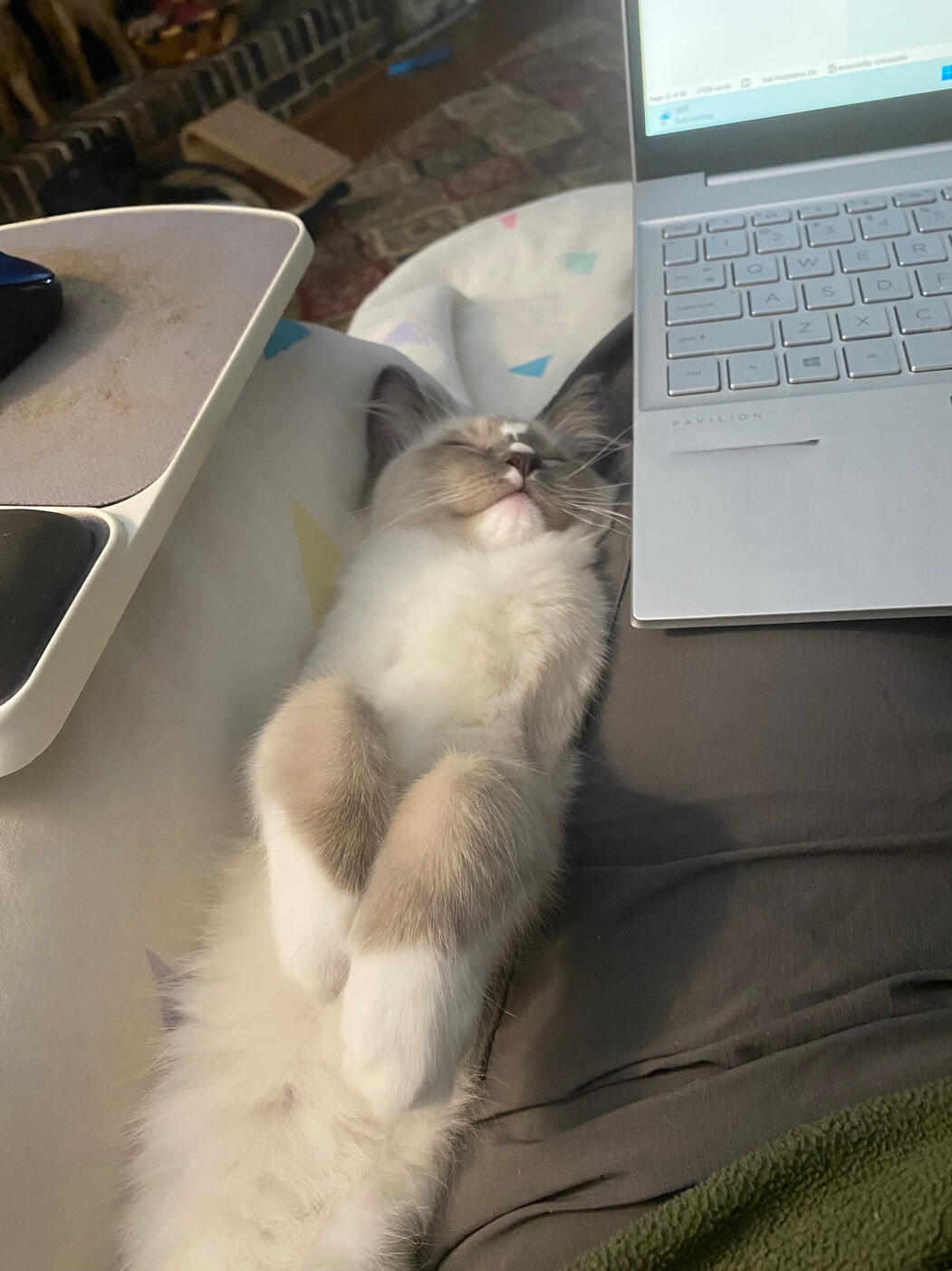 You pain and exhaust me.